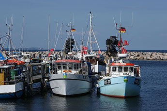Fischerboote im Seehafen »Marina Glowe«